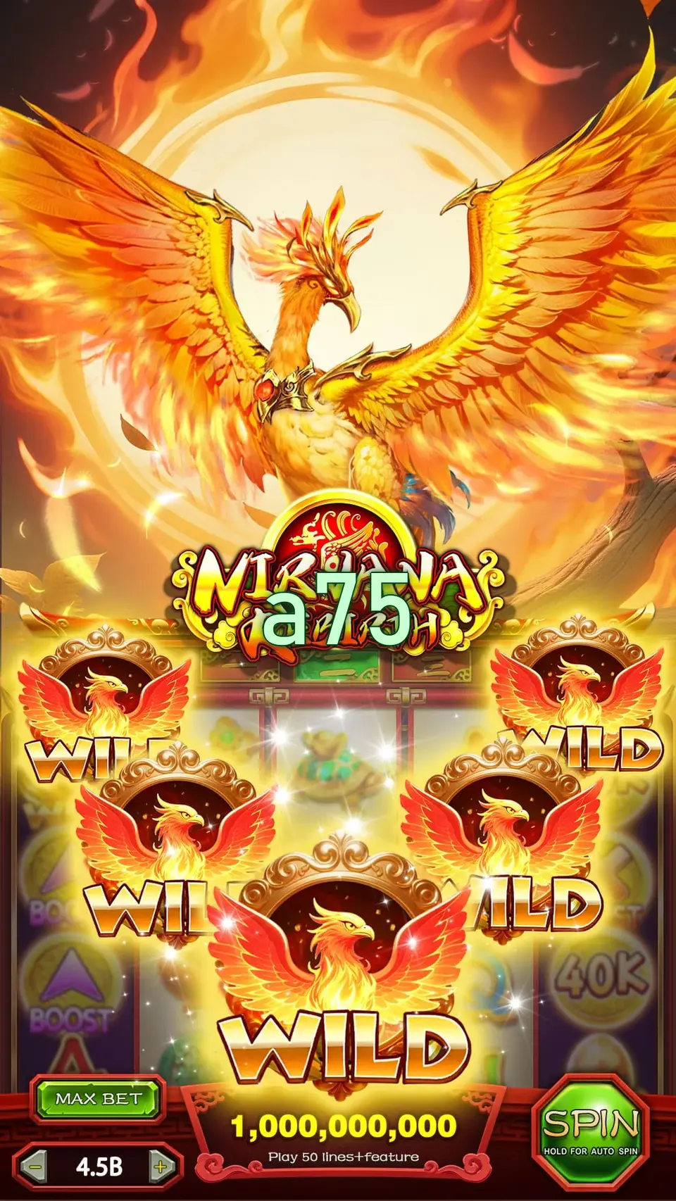 a75 Login